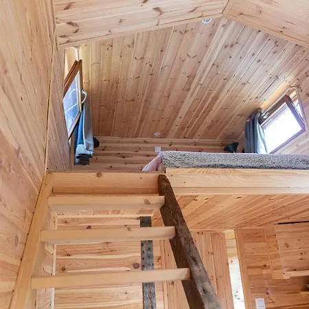 キャンプ場 Cabania Ecocamp Des Ardennes Mourimont