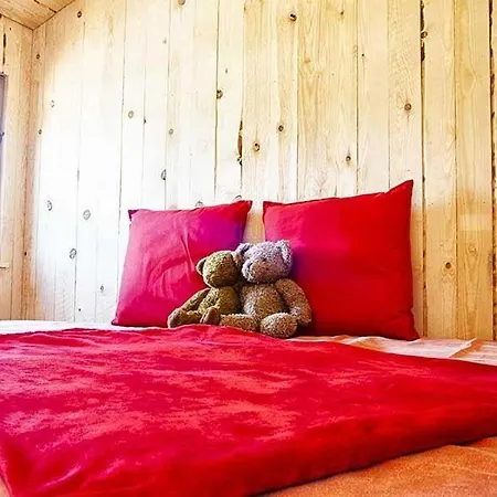 Cabania Ecocamp Des Ardennes